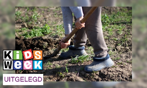 Plaatje Uitdrukking uitgelegd: ‘Wie een gat graaft voor een ander valt er zelf in’