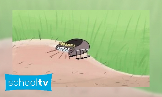 Plaatje Wat is de ziekte van Lyme?