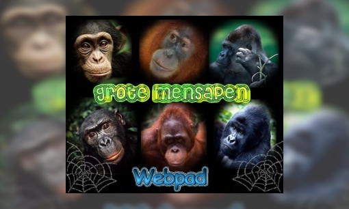 Webpad grote mensapen