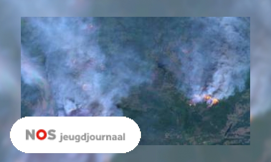 Dit jaar al duizenden bosbranden in de Amazone