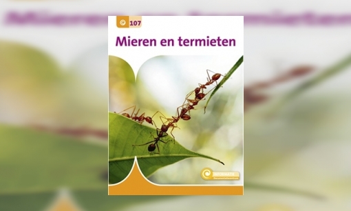 Mieren en termieten