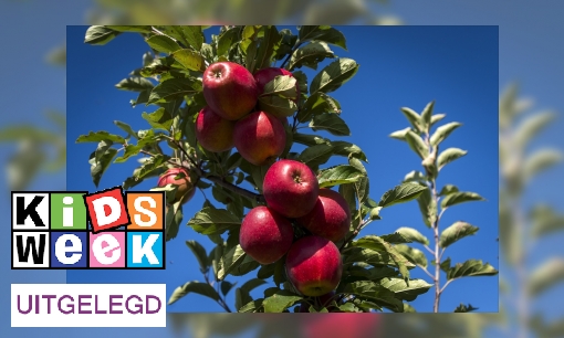 Plaatje Uitdrukking uitgelegd: 