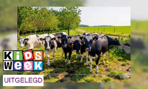 Plaatje Wat is de stikstof-regeling voor boeren?