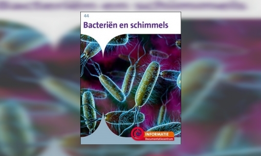 Bacteriën en schimmels