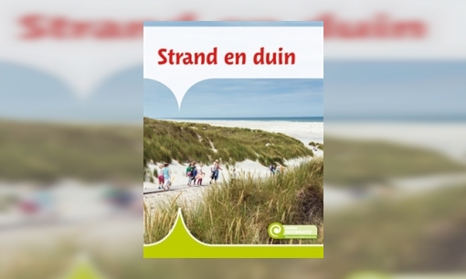 Plaatje Strand en duin