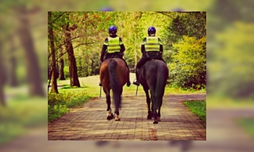 Plaatje Hoe word je politie te paard?