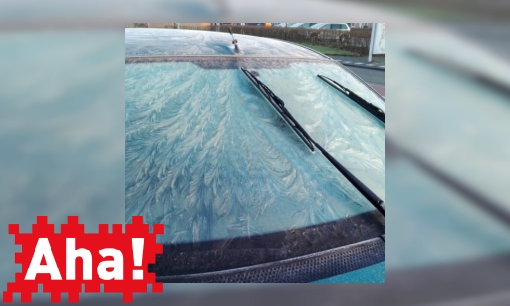 Plaatje Hoe help je dakloze mensen in een koude winter?