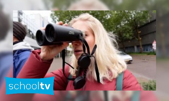 Plaatje Klokhuis SoortSafari - Op zoek naar een roodborstje