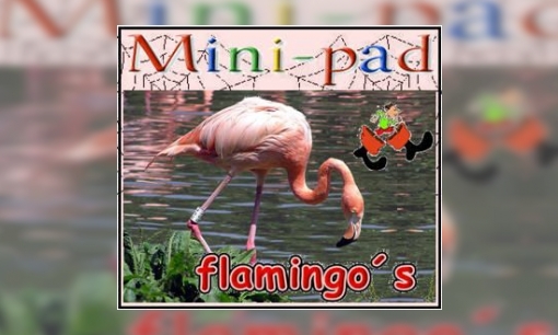 Plaatje Mini-pad flamingo