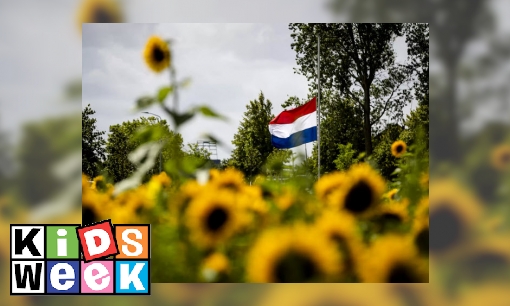 Plaatje Vliegramp met MH17 herdacht: dit gebeurde precies tien jaar geleden