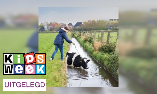Plaatje Uitdrukking uitgelegd: 