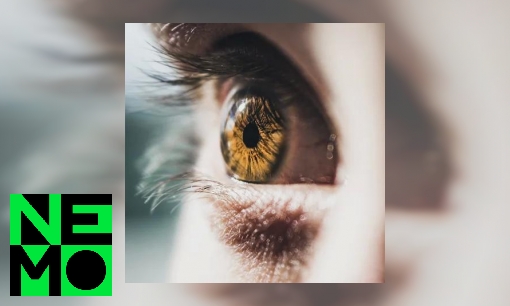Plaatje Is de snelheid van het oog voor iedereen gelijk?