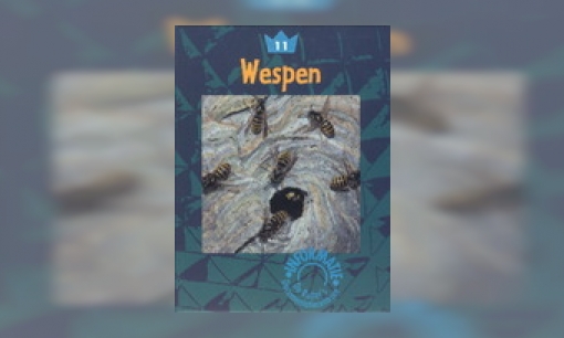 Plaatje Wespen