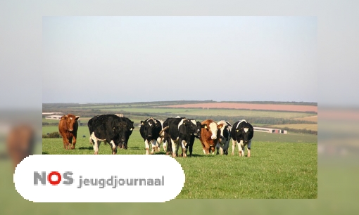 Plaatje Zou jij boer willen worden?