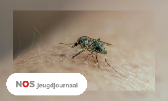 Plaatje Drie vragen over de ziekte malaria