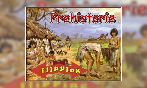 Plaatje Flipping - Prehistorie