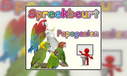 Plaatje Spreekbeurt Papegaaien