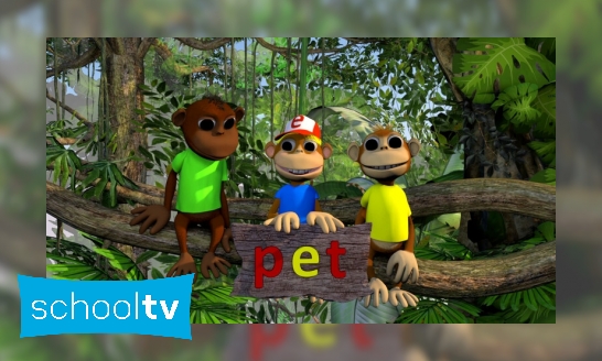 Plaatje Letterjungle - De letter t: pet
