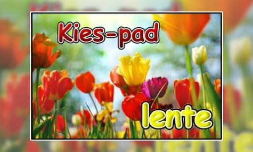 Kies-pad lente