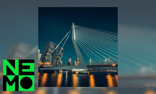 Plaatje Hoeveel olifanten kunnen er op de Erasmusbrug staan?