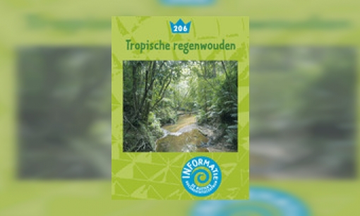 Plaatje Tropische regenwouden