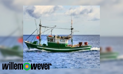 Plaatje Hoeveel vissen vangen vissers op een vissersboot per dag?