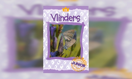 Plaatje Vlinders