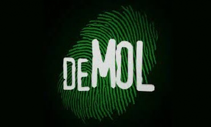 Plaatje Wie is de Mol?