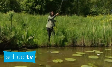 Plaatje Nieuws uit de Natuur ; Sloten en plassen