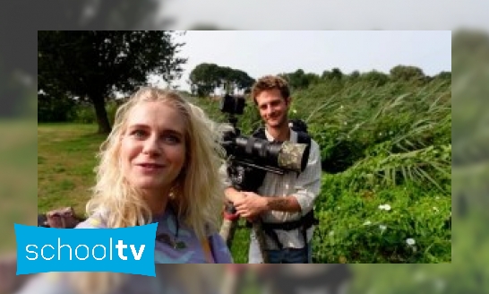 Plaatje Klokhuis Soortsafari – Op zoek naar de winde