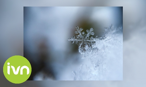 Plaatje Hoe ontstaat sneeuw?