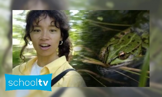 Plaatje Klokhuis Soortsafari - Op zoek naar een kikker