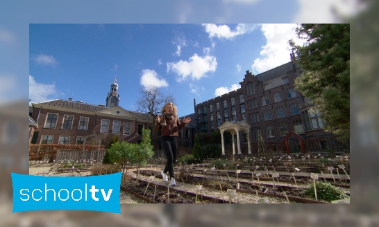 Plaatje De oudste botanische tuin van Nederland