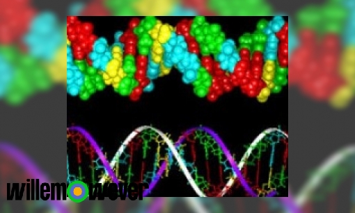 Plaatje Hoe wordt het DNA van criminelen met elkaar vergeleken?