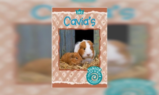 Plaatje Cavia