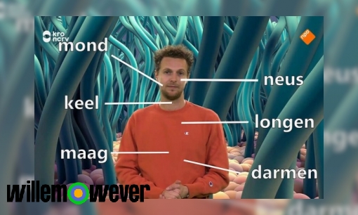 Waar komt snot in je neus vandaan als je verkouden bent?