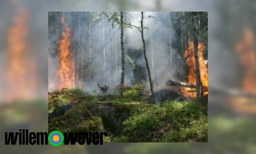 Plaatje Hoe kan het dat een bosbrand zich zo snel verplaatst?
