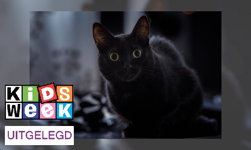 Plaatje Oppassen! Het is vandaag vrijdag de dertiende!