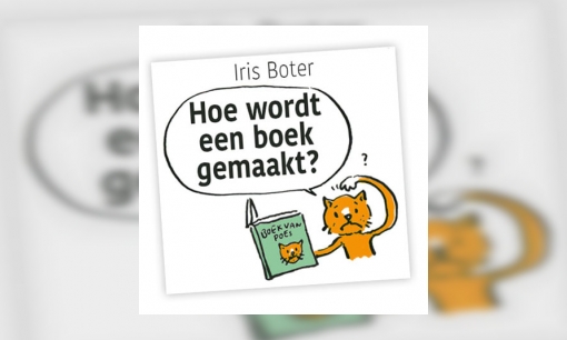 Plaatje Hoe wordt een boek gemaakt?