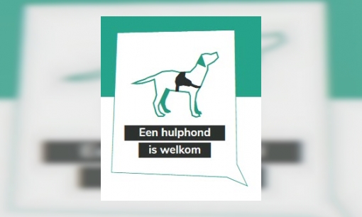 Welke soorten hulphonden zijn er?