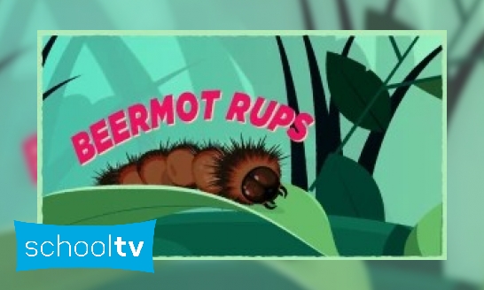 Plaatje De beermotrups in het kort