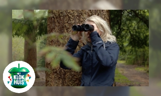 Plaatje Versieren bij dieren