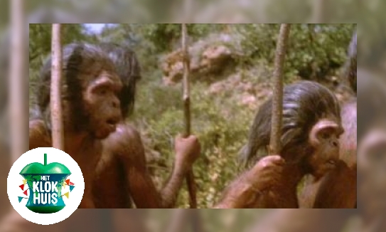 Ontstaan van de mens - Homo erectus