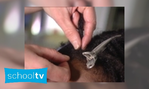 Plaatje Hoe maak je dreadlocks?