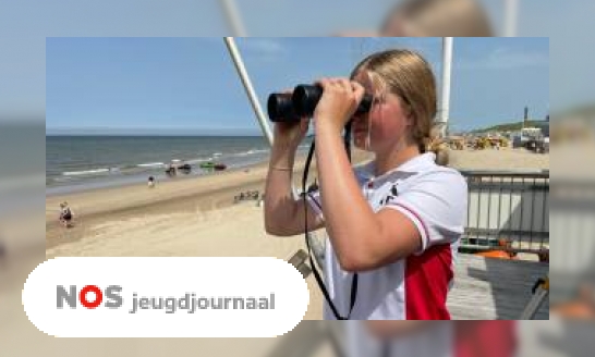 Plaatje Kinderen helpen als lifeguard op het strand