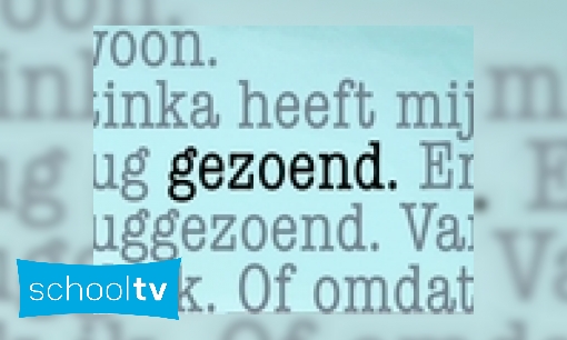 Hoe overleef ik een gebroken hart? (boek)