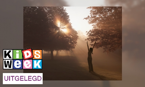 Plaatje Uitdrukking uitgelegd: ‘De morgenstond heeft goud in de mond’
