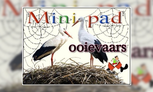 Plaatje Mini-pad ooievaars