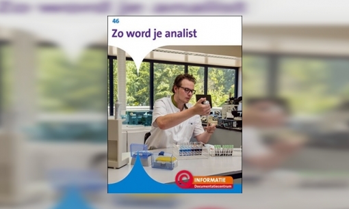 Plaatje Zo word je analist