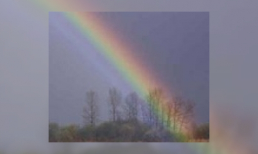 Hoe komen kleuren in de regenboog?